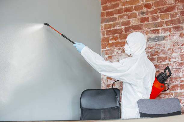 Best Attic Mold Removal  in Seat Pleasant, MD