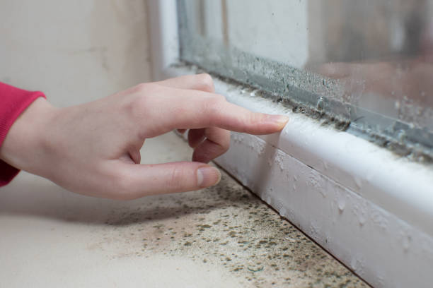 Best Crawl Space Mold Remediation  in Seat Pleasant, MD