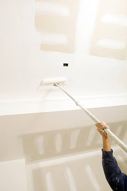 Best Mold Odor Removal Services  in Seat Pleasant, MD