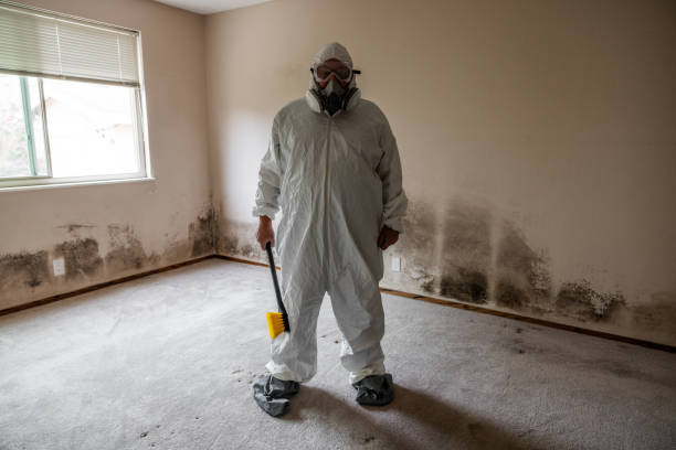 Best Commercial Mold Inspection  in Seat Pleasant, MD
